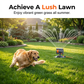 🏆 Last Day Special 50% OFF🔥Wide-Coverage Automatic Rotating Garden Sprinkler
